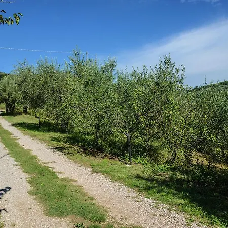 Holiday home Pergolato 2 Magione