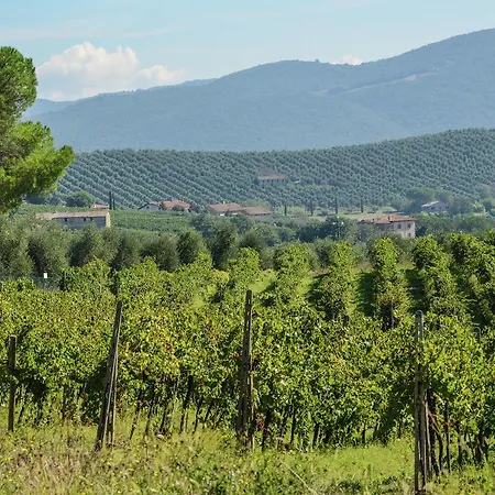 Pergolato 2 * Magione